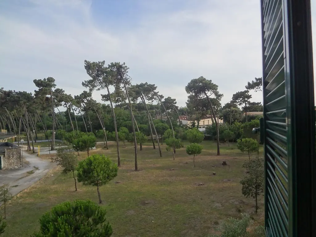 La Pineta Apartment Viareggio Italy